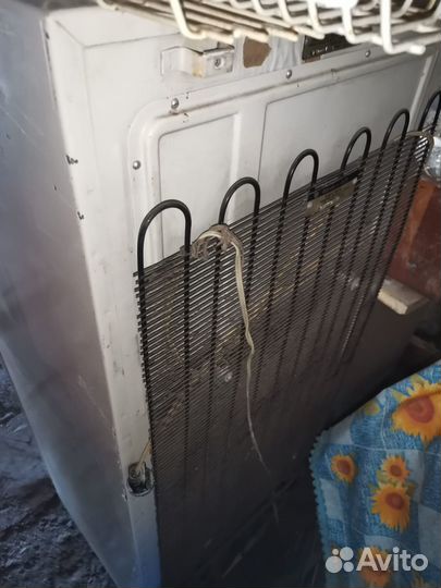 Холодильник Чинар