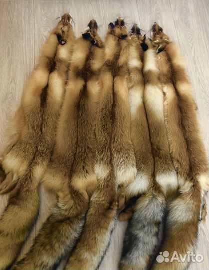 Шкуры рыжей лисы