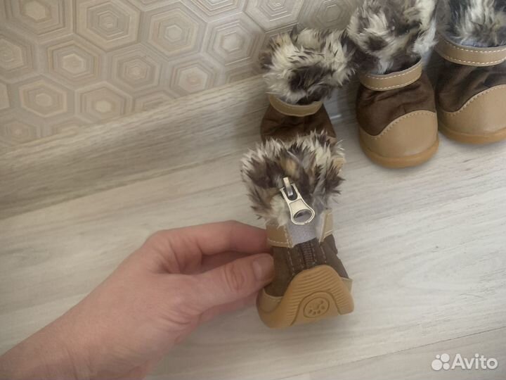 Обувь для собак мелких пород