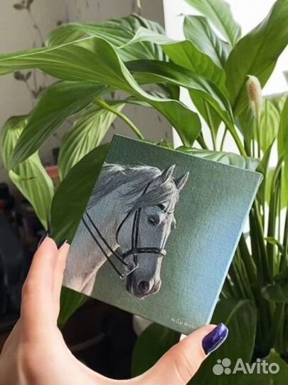 Портреты животных на заказ