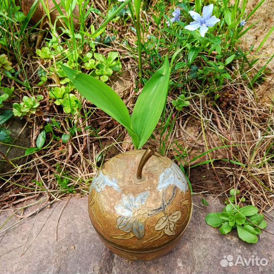 Латунная шкатулка-яблоко, Англия