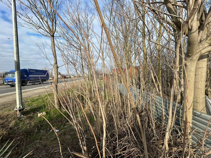 Участок 16 сот. (ИЖС)