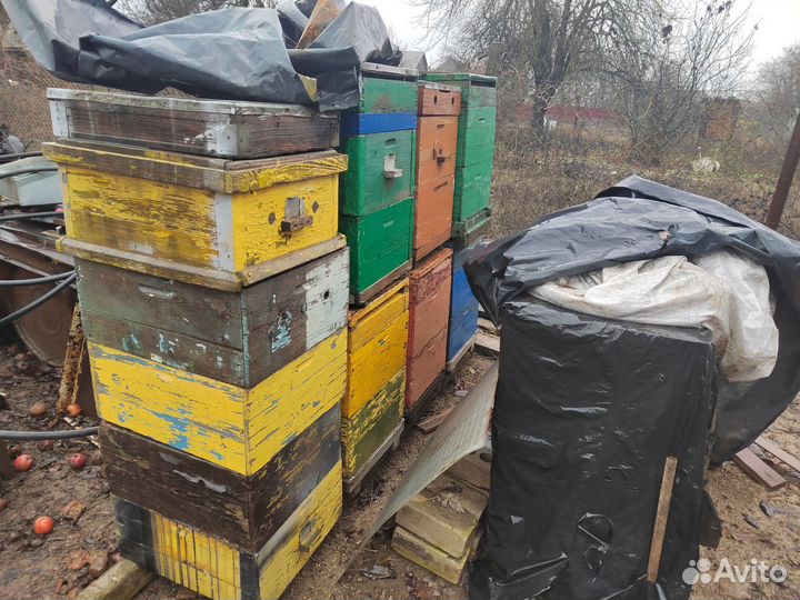 Ульи для пчел