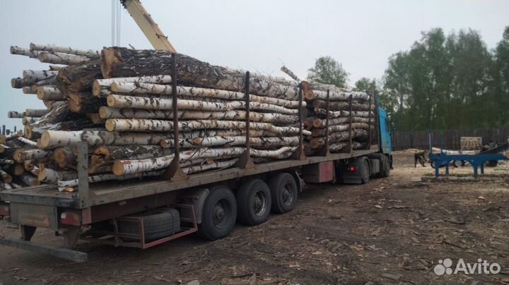 Дрова В хлыстах 6 М