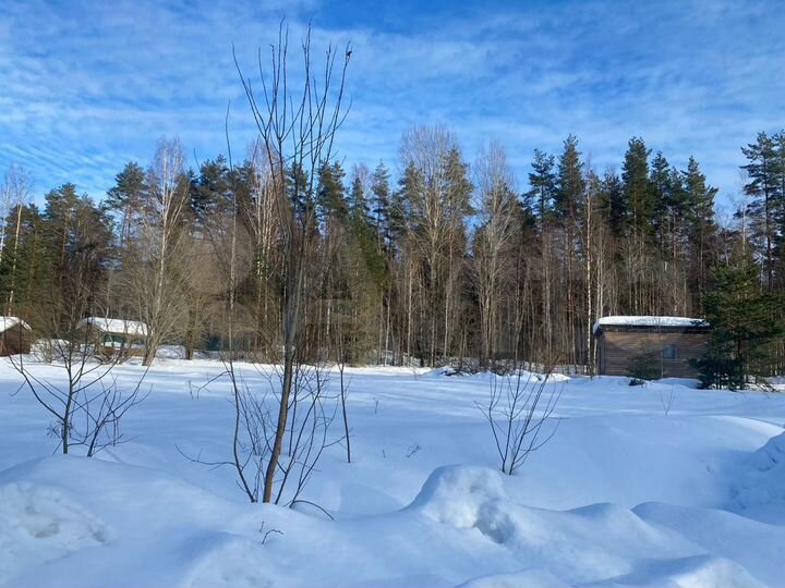 Участок 10,4 сот. (СНТ, ДНП)