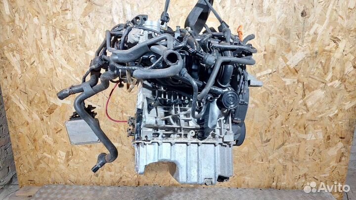 Двигатель Volkswagen Golf 5 (2003 - 2009) 1.4 BCA