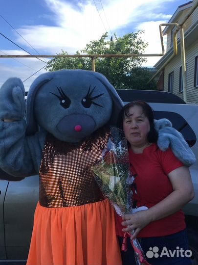 Услуги аниматора