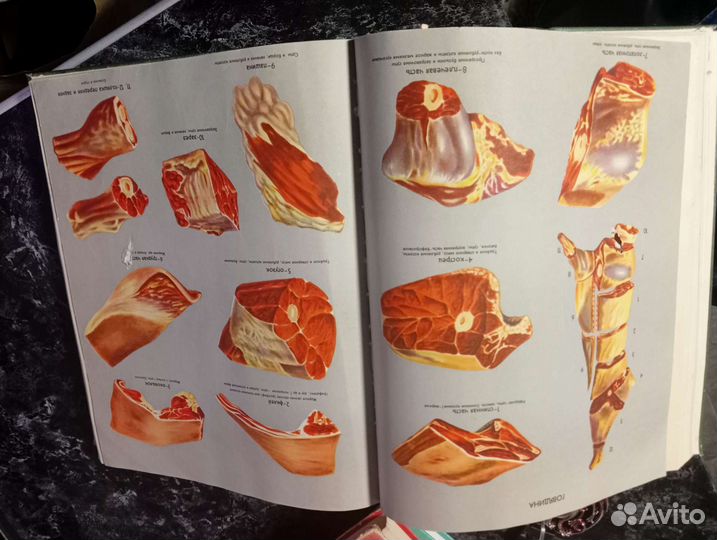 Книги редкие