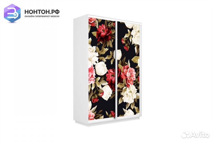 Шкаф-купе 2-х дверный Нонтон фото №1020 / белый сн