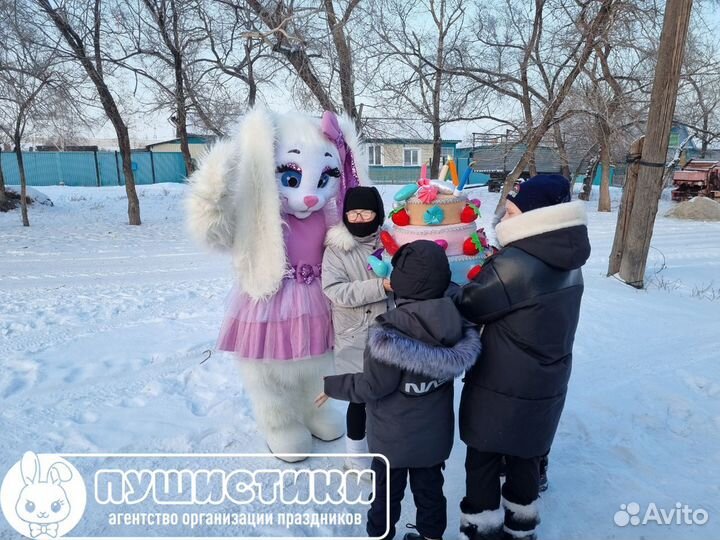 Услуги аниматора