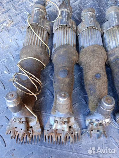 Товары для животных