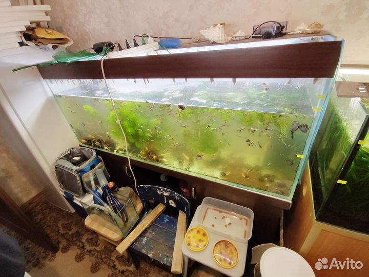 Аквариумы 100-400л с гарнитурой