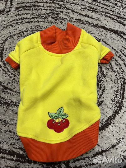 Кофта для маленькой собачки