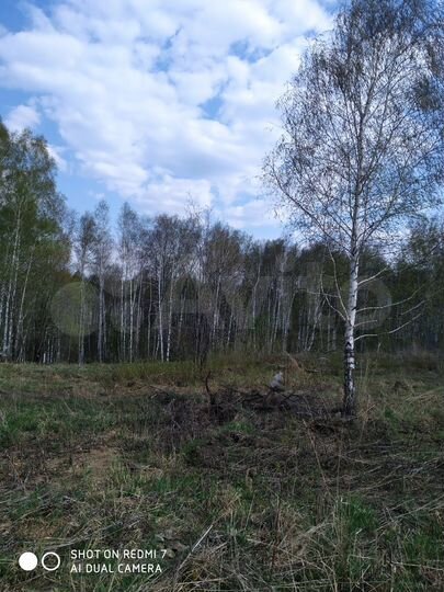 Участок 11,4 сот. (СНТ, ДНП)