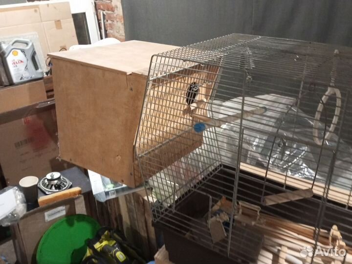 Клетка для попугаев