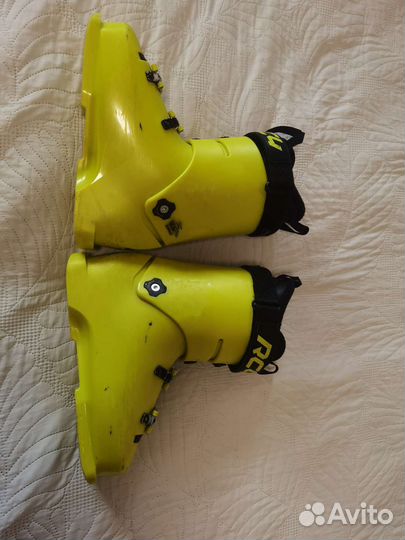 Leki GS 110, Fischer RC4 Podium 90