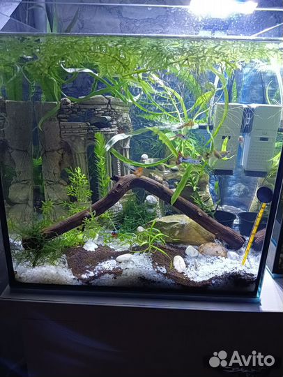Аквариум - кубик
