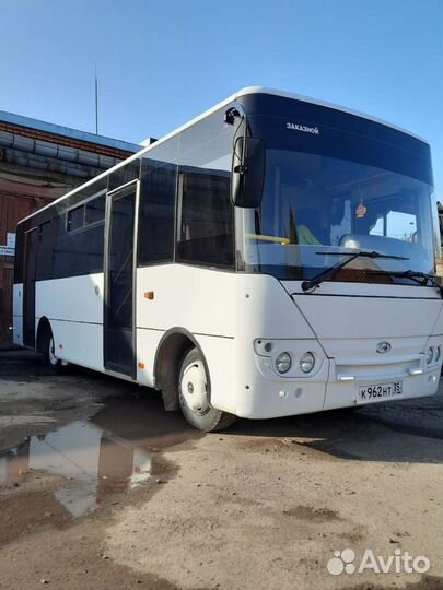 Пассажирские перевозки микроавтобусом,автобусом (8