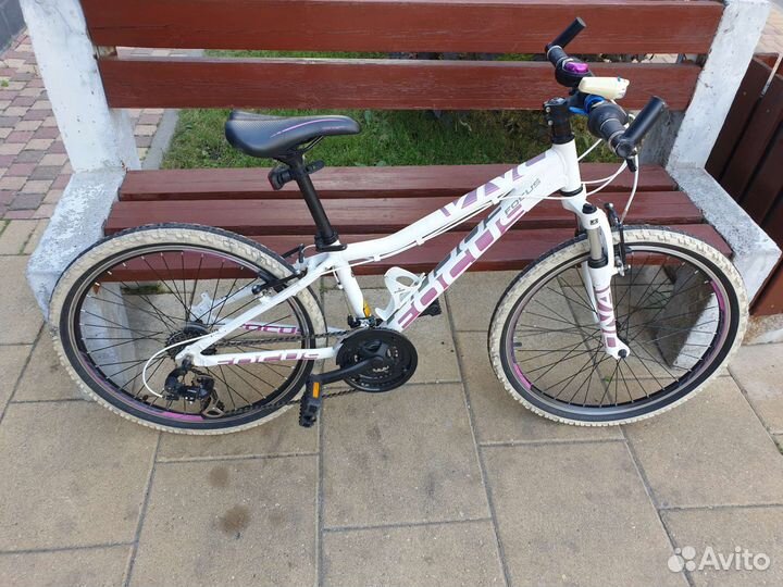 Горный велосипед Focus Donna 6.0 24R W junior