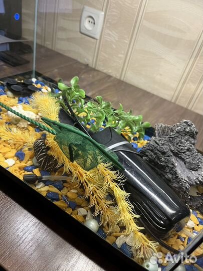 Аквариум для рыбок, с фильтром