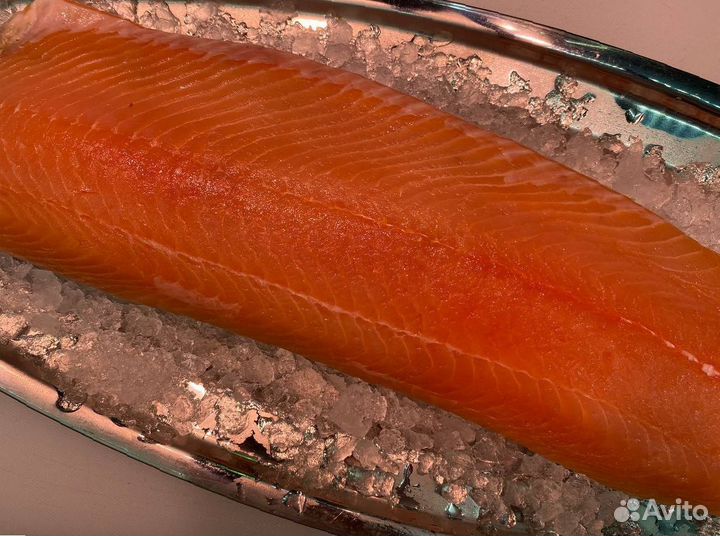 Лосось филе слабосолённый. Опт