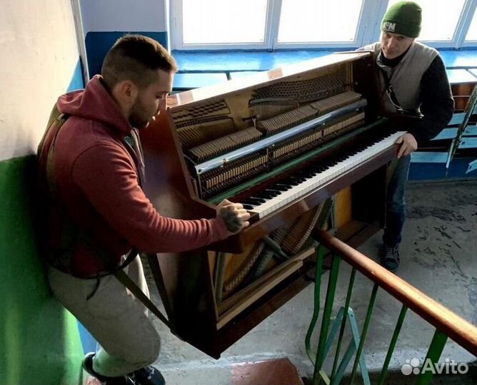 Грузчики Севастополь/Разнорабочие/Демонтаж