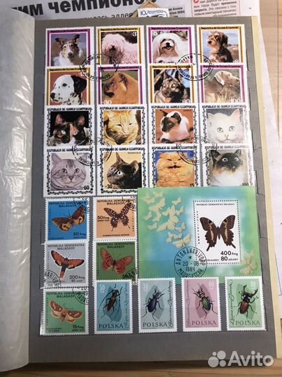 Альбом с марками растения животные