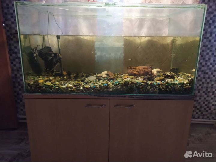 Аквариум с тумбой 250 литров