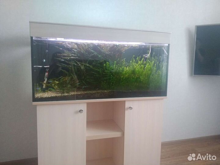 Аквариум 200 л