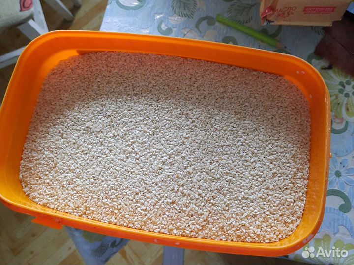 Кунджут белий