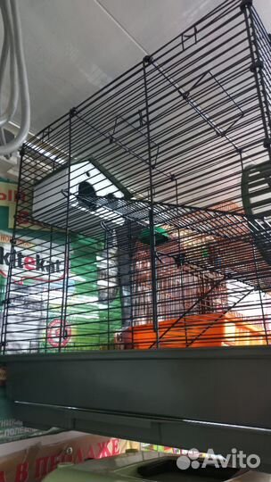 Клетка для грызунов