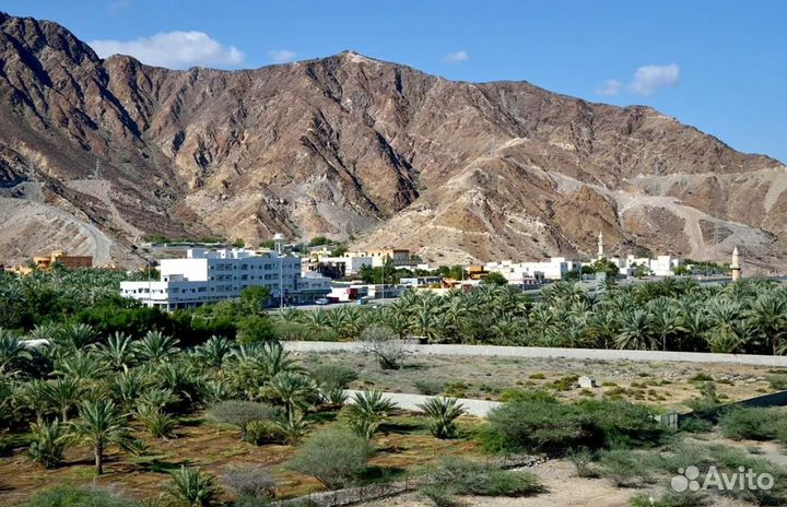 Загранпоездка в Fujairah от 7 дн