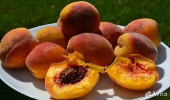 Косточки крупных персиков