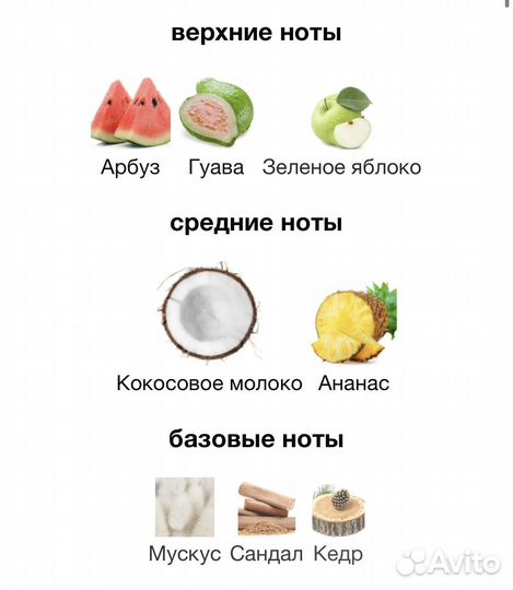 Born in Paradise Escada 15мл