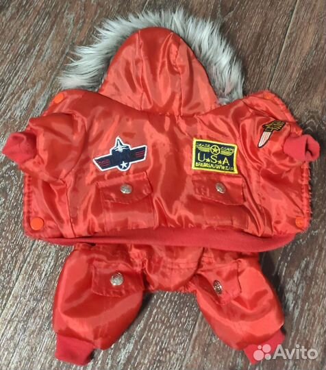 Одежда для маленьких собак