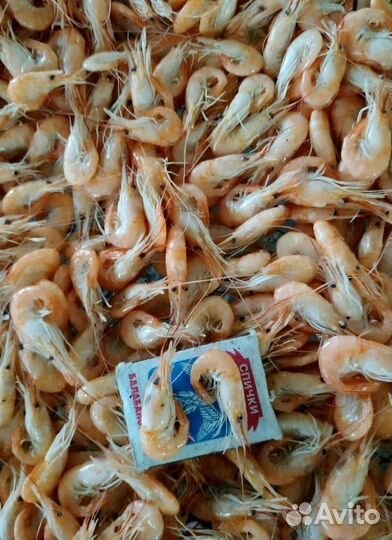 Креветка азовская вареная