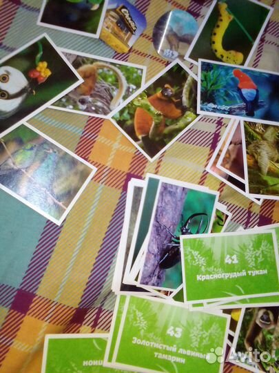 Наклейки-карточки стикермания