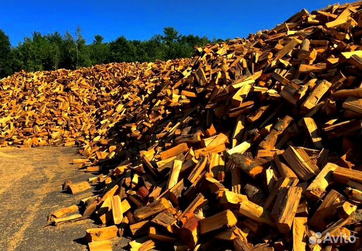 Дрова ольха осина береза