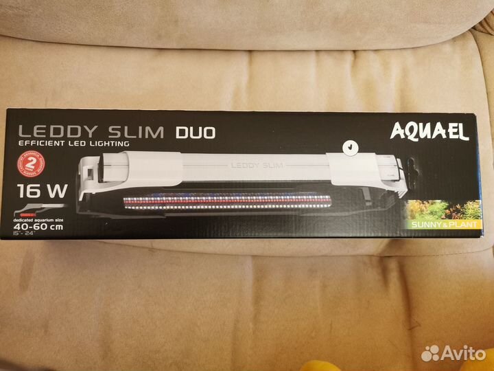 Пецилия редиска, красная, гуппи