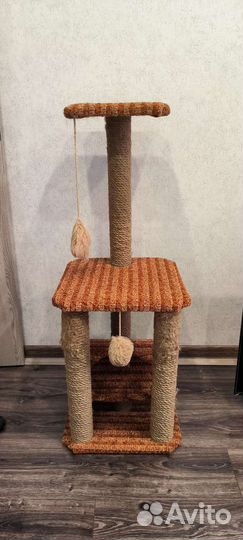 Когтеточка