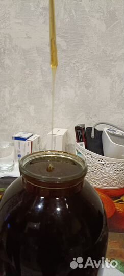 Мед гречишный - сбор август 2023 год