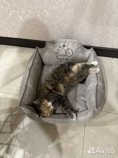 Лежанка для животных