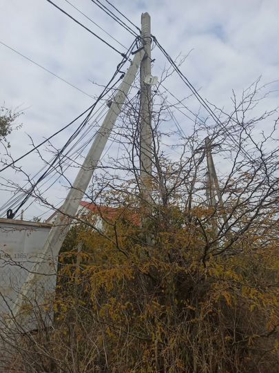 Участок 10 сот. (СНТ, ДНП)