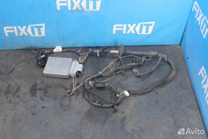 Проводка подкапотная Ford Focus I (Форд Фокус 1) D
