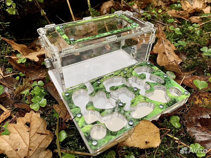 Формикарий/ муравьиная ферма