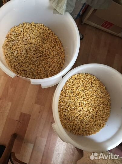 Пьяная кукуруза