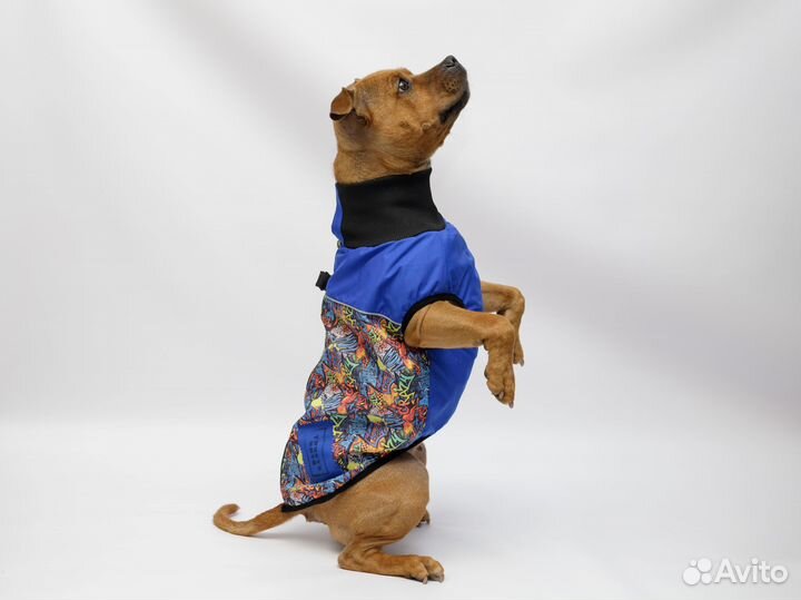 Жилетка для собак