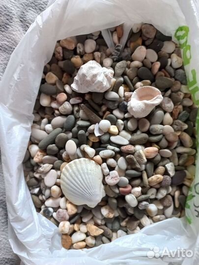 Аквариум для рыб