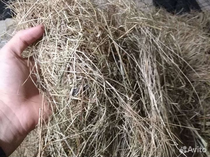 Сено в мешках