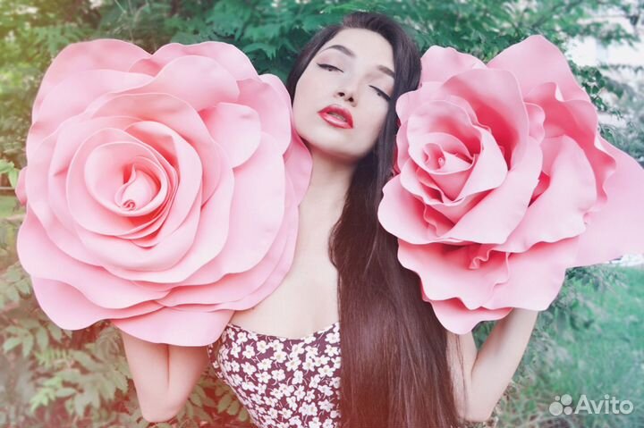 Фототехника в аренду объективы, фотоаппараты